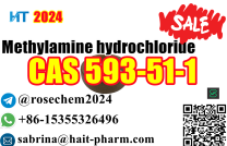 Bestselling in Europe and America +8615355326496 Methylamine hydrochloride cas 593-51-1 mediacongo